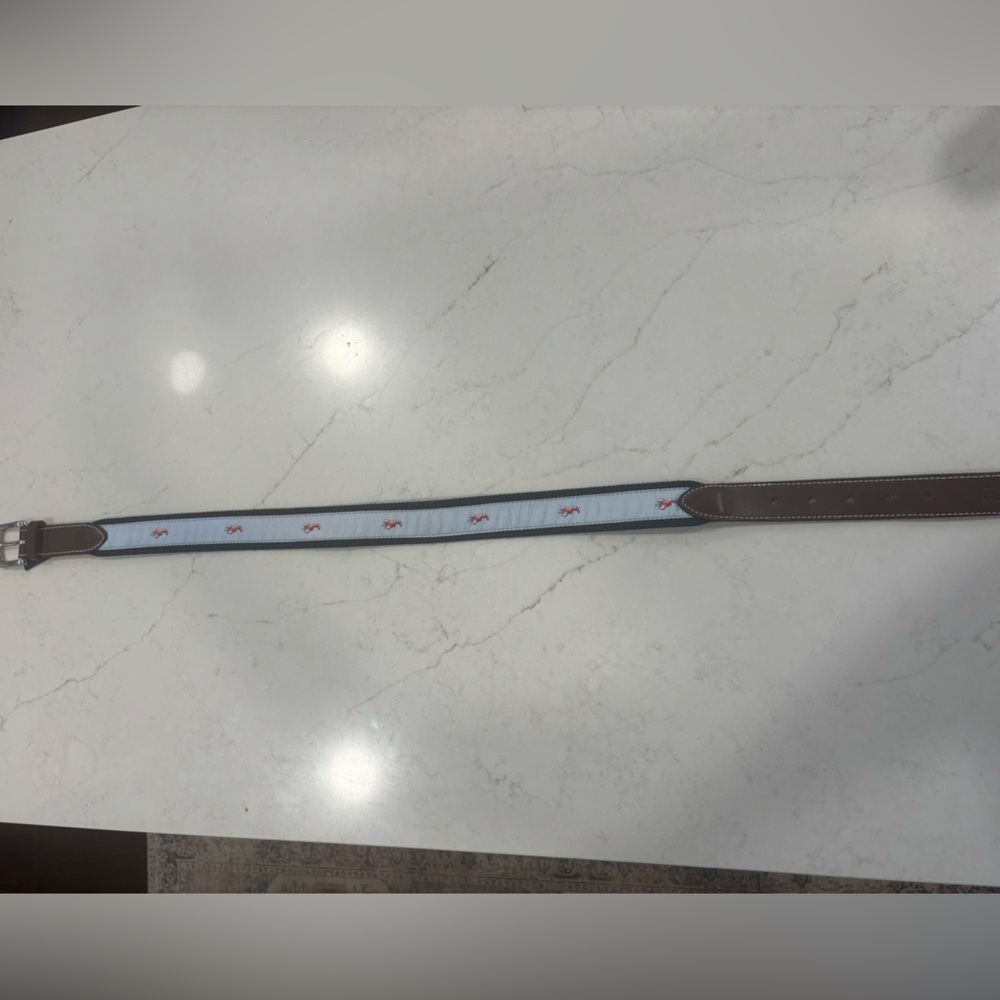 Vineyard Vines Boys belt size 30